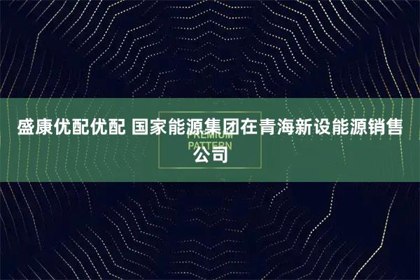 盛康优配优配 国家能源集团在青海新设能源销售公司