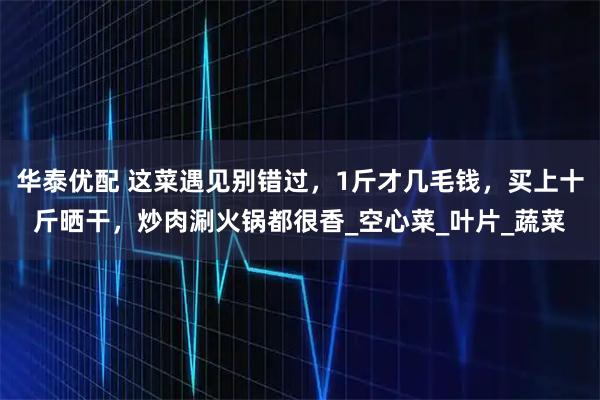 华泰优配 这菜遇见别错过，1斤才几毛钱，买上十斤晒干，炒肉涮火锅都很香_空心菜_叶片_蔬菜