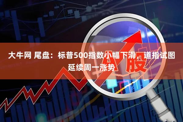 大牛网 尾盘：标普500指数小幅下滑，道指试图延续周一涨势