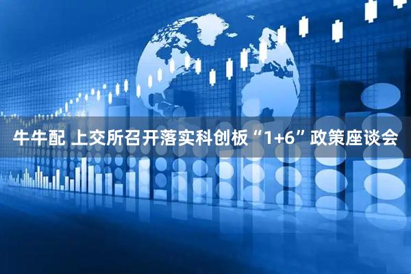 牛牛配 上交所召开落实科创板“1+6”政策座谈会