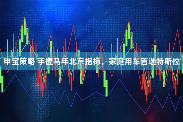 申宝策略 手握马年北京指标，家庭用车首选特斯拉