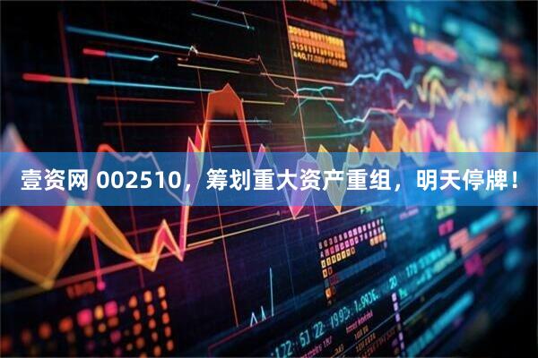 壹资网 002510，筹划重大资产重组，明天停牌！
